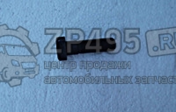 : 6501404 0014649     /   31105 . (, ,,,,, , NEXT, NEXT) vladivostok.zp495.ru